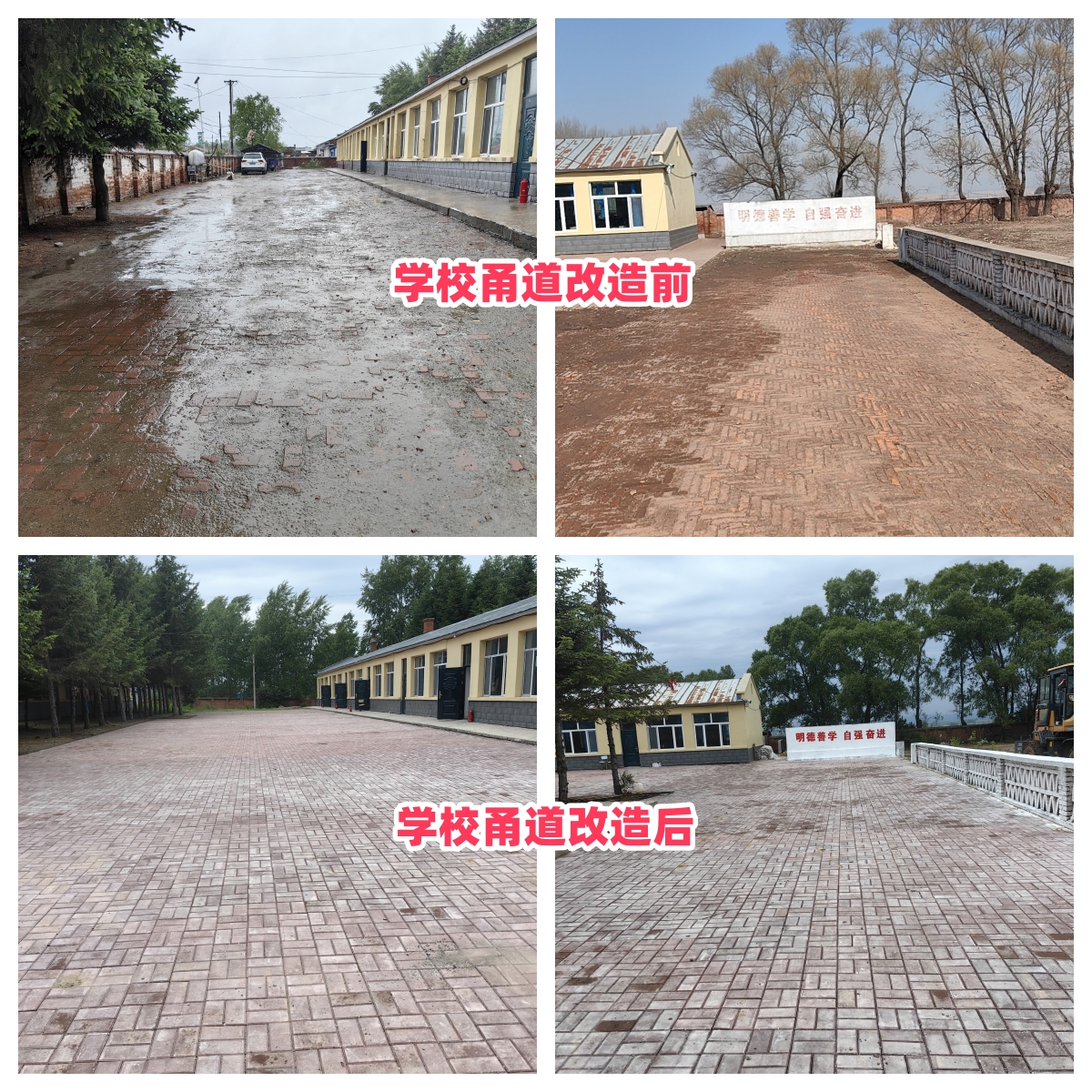 第254所 黑龙江巴彦县黑山镇民乐村万搏网_万搏(中国)
侯玉霞学校