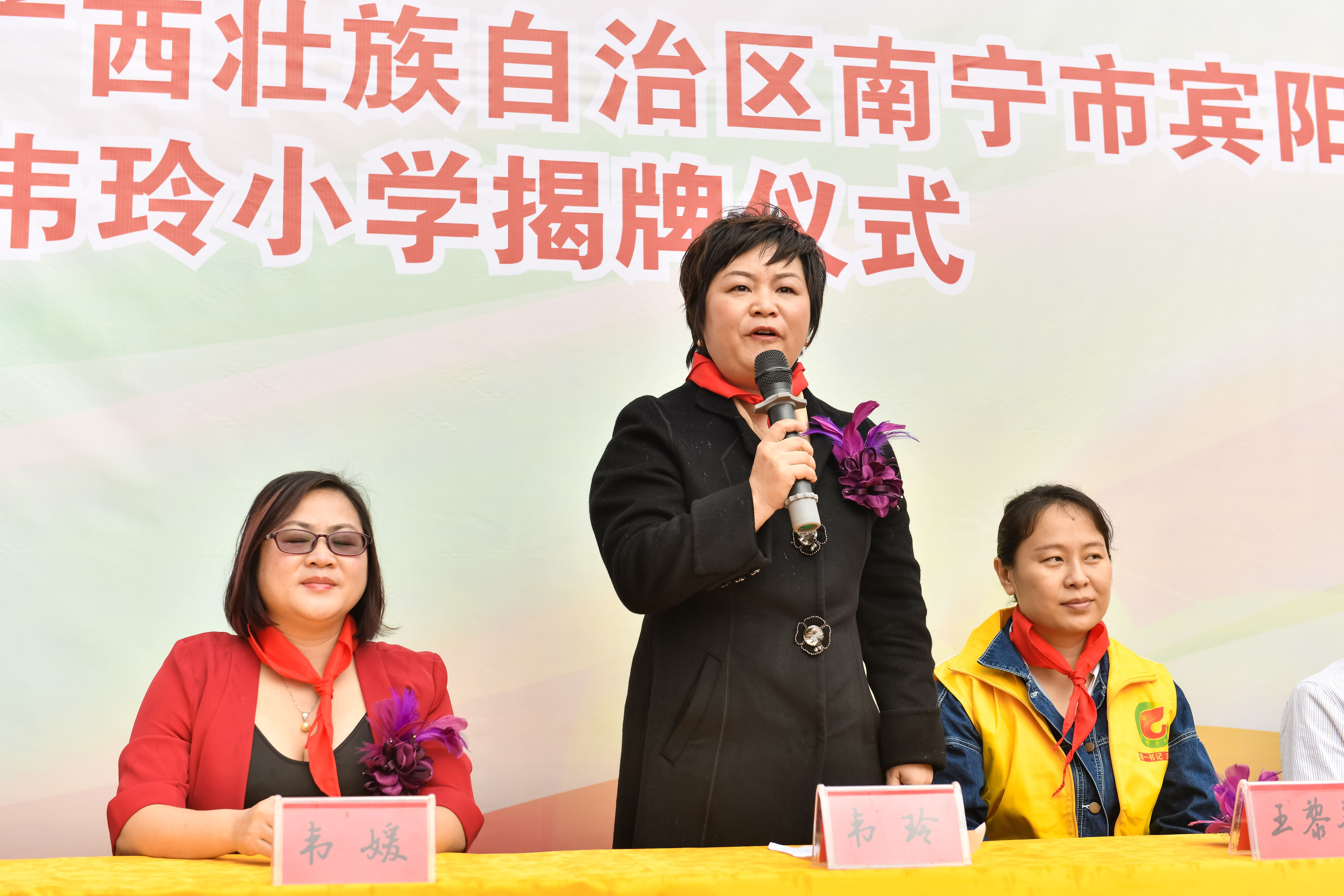 第184所  南宁市宾阳县思陇镇昆仑村万搏网_万搏(中国)
韦玲小学